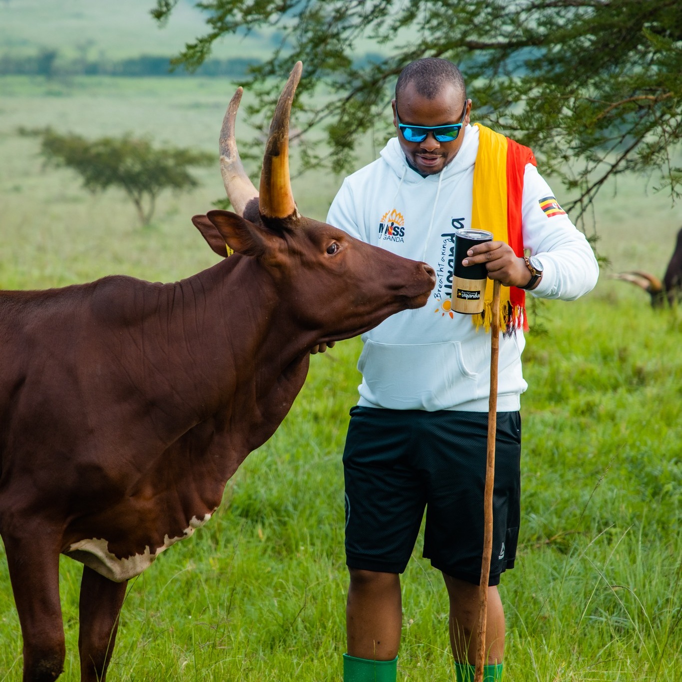 As you explore our lodge, you will witness the symbiotic relationship between humans and cattle. Gain insights into the sustainable practices we employ to ensure the well-being of our livestock and the preservation of our environment. This immersive experience will leave you with a deeper understanding and appreciation for the rich culture of cattle keeping and milking.
📧 reservations@emburarafarmlodge.com
☎️ +256776210872 | +256776200080 | +256706666000
🌐 www.emburarafarmlodge.com
#EmburaraFarmLodge #EmburaraLodges #LifeOnTheFarm #FarmStay #AuthenticExperience #Mbarara #WesternUganda #FarmLodge #AnkoleCow