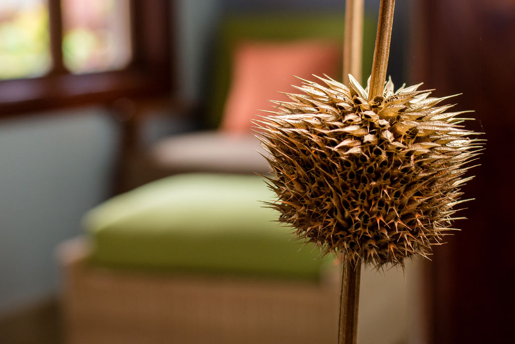 Emburara Farm Lodge